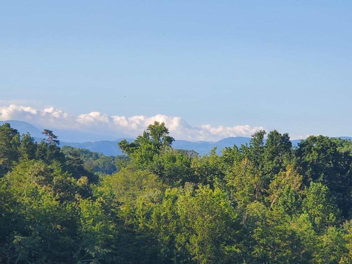 Huny Bear Lodge Pigeon Forge Exterior foto